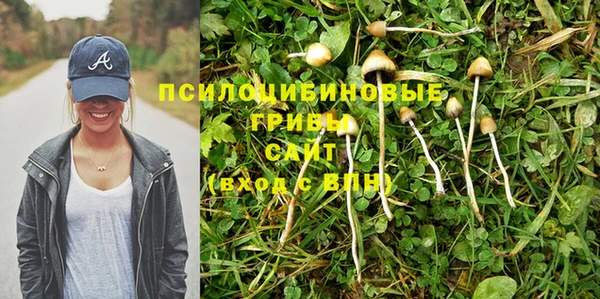 амф Аркадак