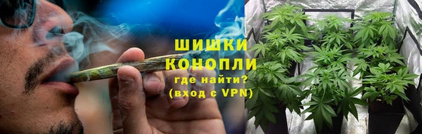 амф Аркадак